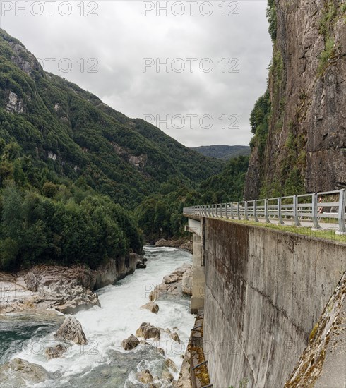 Piedra Del Gato, Carretera Austral, El Lobo, Cisnes, Aysen, Chile, South America