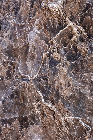 Salt crystals bound in rock, Valle de la Luna, San Pedro de Atacama, Antofagasta, Chile, South America