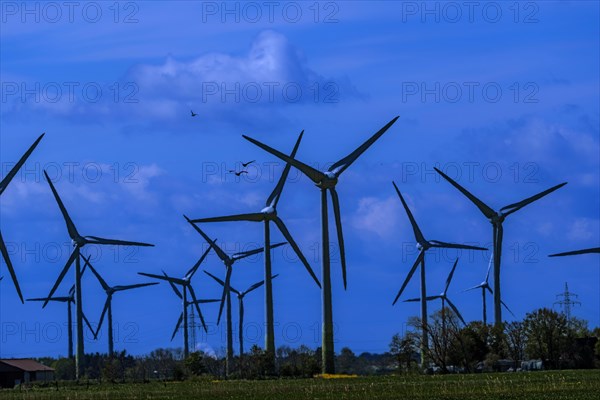 Wind turbines in the Luetetsburg wind farm on the North Sea coast, Hagermarsch, East Frisia, Lower Saxony, Germany, Europe