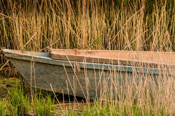 Front of an abandoned fishing boat sitting in tall reeds in NamHae, South Korea, Asia