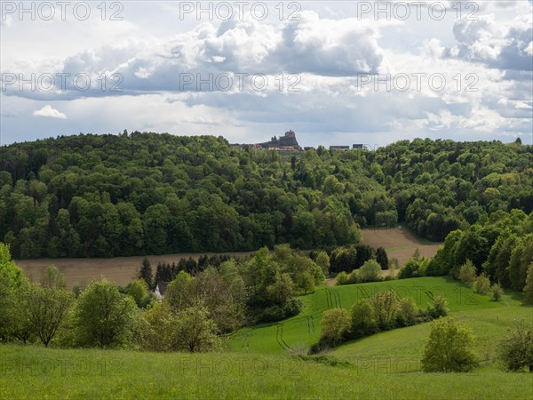 Meadow and forest, behind Riegersburg, Styrian volcanic region, Styria, Austria, Europe