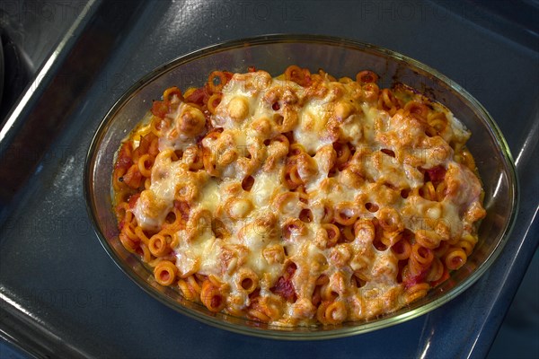 Pasta with tomato sauce baked in the oven with cheese, Bavaria, Germany, Europe