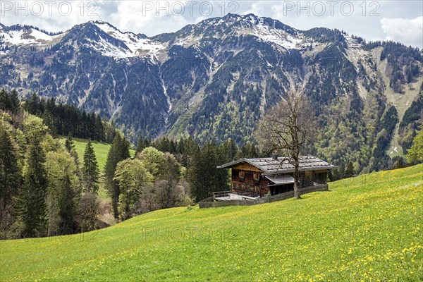 Old farmhouse in the historic mountain farming village of Gerstruben, behind Himmelschrofen, Dietersbachtal, near Oberstdorf, Allgaeu Alps, Oberallgaeu, Allgaeu, Bavaria, Germany, Europe