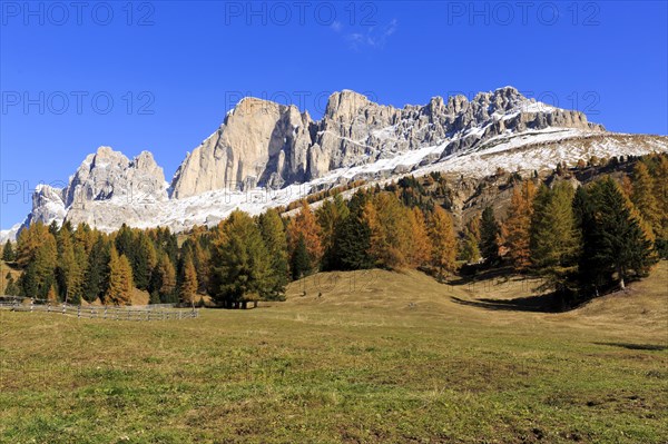 Massive rock formations above a grassland with autumnal trees, Italy, Alto Adige, Bolzano province, Dolomites, Catinaccio, Europe