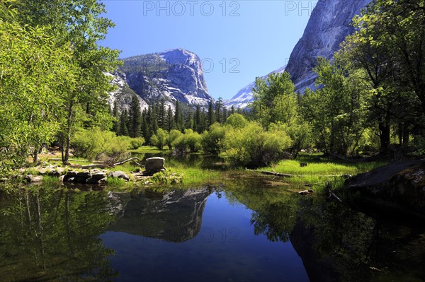 A calm lake reflects a forested mountain and a clear blue sky, San Francisco, North America, USA, South-West, California, California, North America