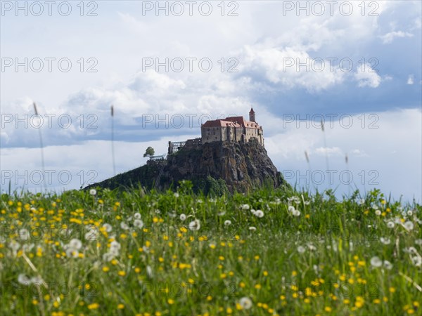 Flower meadow, behind Riegersburg, Styrian volcanic region, Styria, Austria, Europe