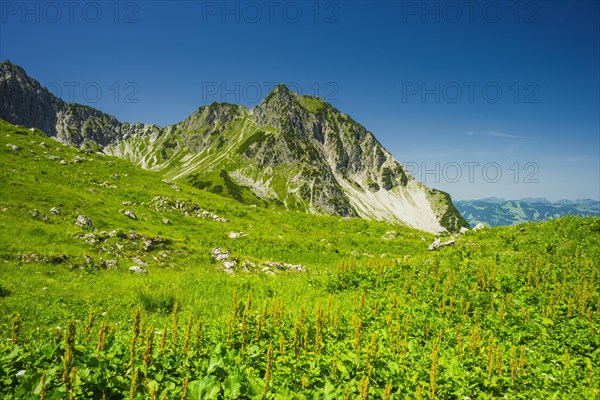 Rubihorn, 1957 m, Allgaeu Alps, Allgaeu, Bavaria, Germany, Europe