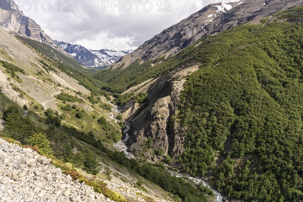 Ascencio valley, Base of Torres del Paine Hike, Torres de Paine, Magallanes and Chilean Antarctica, Chile, South America