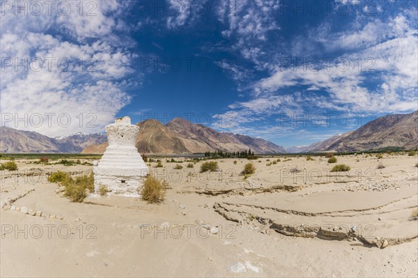 Tschoerten near Hunder, Nubra Valley, Ladakh, Jammu and Kashmir, Indian Himalayas, North India, India, Asia