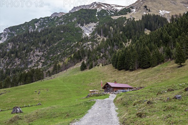 Naturalpe Gemstel-Schoenesboden-Alpe, Gemsteltal, Mittelberg, Kleinwalsertal, Vorarlberg, Allgaeu Alps, Austria, Europe