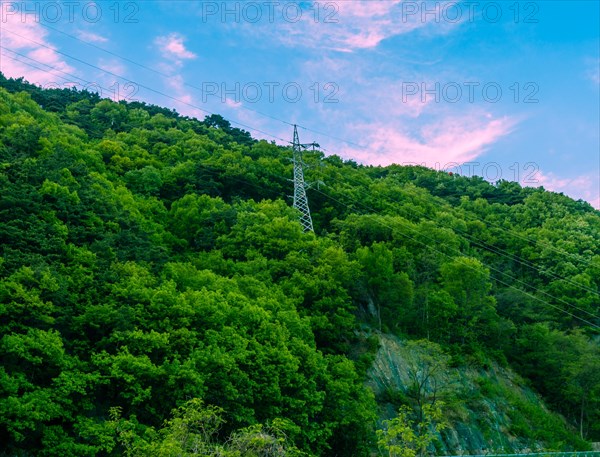 Electrical tower on side of mountain covered with lush green foliage under a blue sky with a few clouds in South Korea
