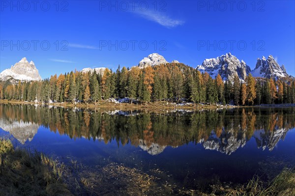 A panoramic picture of a mountain lake, surrounded by forests in autumn dress with a clear reflection of the mountains, Italy, South Tyrol, Belluno, Dolomites, Lago d'Antorno against Cadini, Misurina, Sesto Dolomites, Veneto, Europe