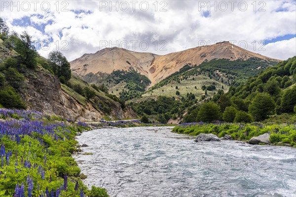 Mountain range along the Rio Blanco, Carretera Austral, Aysen, Chile, South America