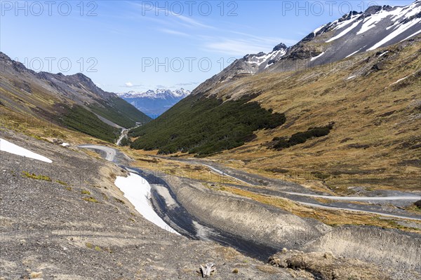 Road down to Lake Capri, Routa Y-85, Timaukel, Tierra del Fuego, Magallanes and Chilean Antarctica, Chile, South America
