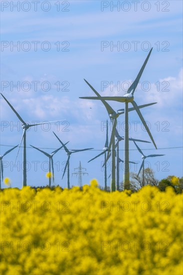 Wind turbines in the Luetetsburg wind farm behind a rape field on the North Sea coast, Hagermarsch, East Frisia, Lower Saxony, Germany, Europe