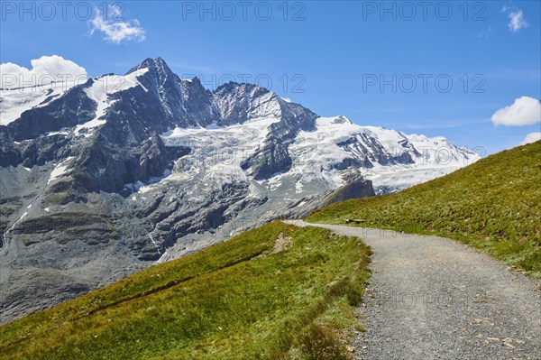 View from Gamsgrubenweg at Franz Joseph Hoehe into the mountains (Grossglockner) with Pasterze on a sunny day at Hochalpenstrasse, Pinzgau, Salzburg, Austria, Europe