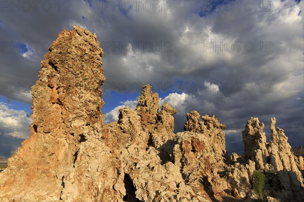 Sunlit tufa rocks against dark clouds, near the golden hour, Mono Lake, North America, USA, South-West, California, California, North America