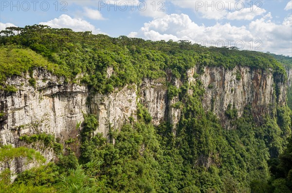Beautiful landscape of Itaimbezinho Canyon and green rainforest, Cambara do Sul, Rio Grande do Sul, Brazil, South America
