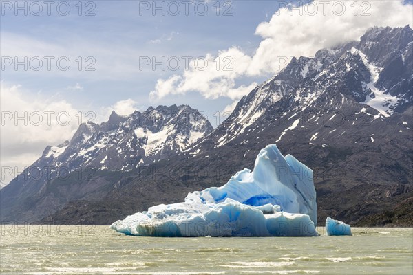 Iceberg on Lago Grey, Torres de Paine, Magallanes and Chilean Antarctica, Chile, South America
