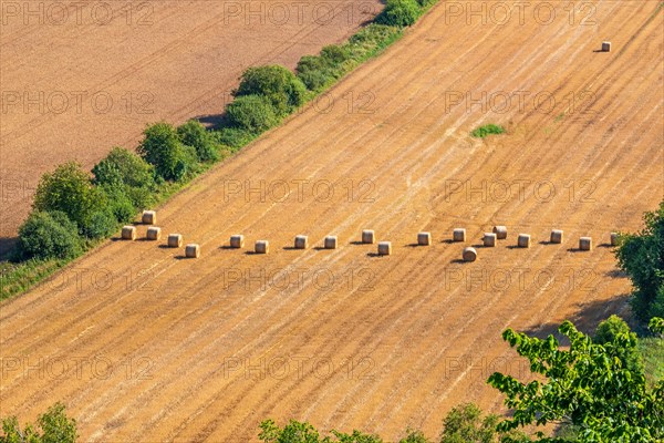 Straw bales in a row in a field after harvest in a high angle view