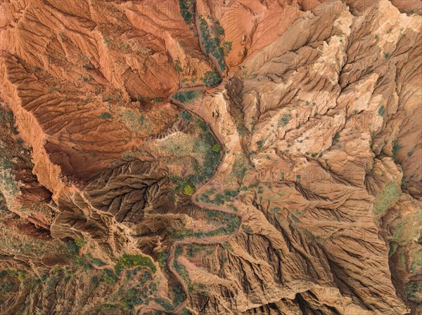 Top Down View, Badlands, river in a gorge with eroded red sandstone rocks, Konorchek Canyon, Boom Gorge, aerial view, Kyrgyzstan, Asia