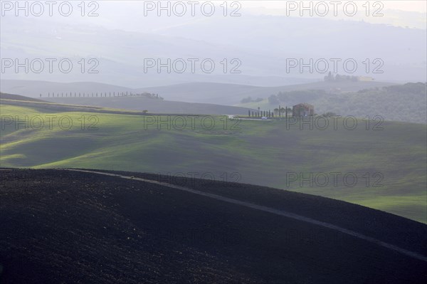 Shadows and light play over the rolling hills of Tuscany at dusk, Italy, Tuscany, Podere Belvedere, Val d'Orcia, Pienza, Siena Province, Europe