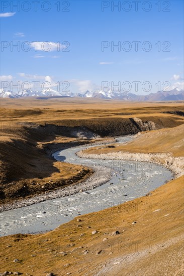 Mountain valley with Sary Jaz River in the morning light, high glaciated mountain peaks of the Tien Shan in the background, autumn mountains with yellow grass, Tien Shan, Kyrgyzstan, Asia