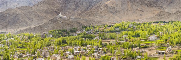 Panorama over Leh, behind it the Shanti Stupa, Ladakh, Jammu and Kashmir, India, Asia