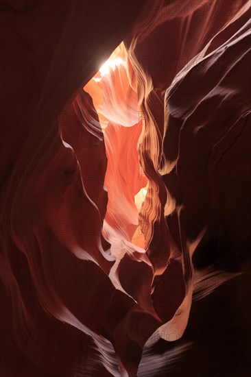 Dramatic lighting of a rock formation, centred light creates soft shadows, Upper Antelope Canyon, North America, USA, South-West, Arizona, North America