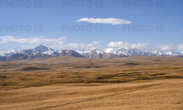Glaciated and snow-capped mountains, autumnal mountain landscape with yellow grass, Tian Shan, Sky Mountains, Sary Jaz Valley, Kyrgyzstan, Asia