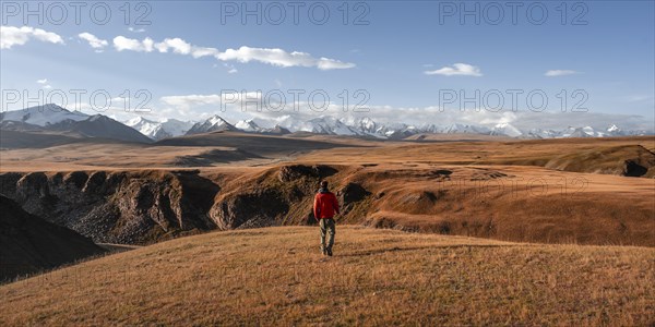 Glaciated and snow-covered mountains, Young man in autumnal mountain landscape with yellow grass in the morning light, Tian Shan, Sky Mountains, Sary Jaz Valley, Kyrgyzstan, Asia