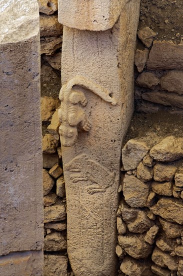 Gobekli Tepe neolithic archaeological site dating from 10 millennium BC, Massive stone pillars with sculptural relief of wild animals, Potbelly Hill, Sanliurfa, Turkey, Asia