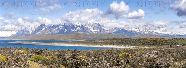 Lago el Toro, Torres de Paine, Magallanes and Chilean Antarctica, Chile, South America