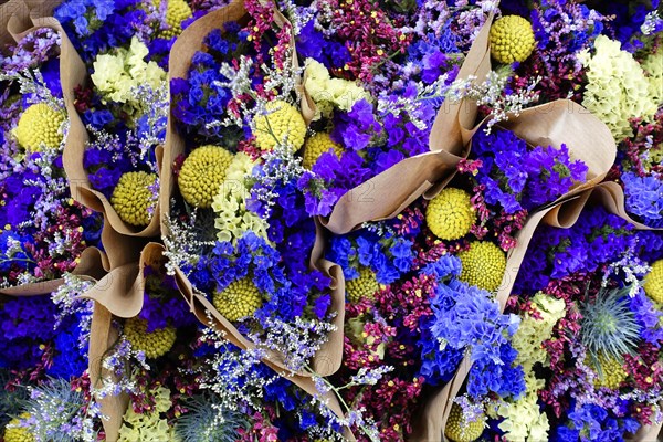 Several bundled flower arrangements in vivid shades of purple and yellow, flower sale, Central Station, Hamburg, Hanseatic City of Hamburg, Germany, Europe
