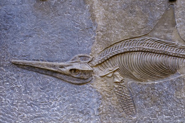 Replica dinosaur, Glasenbach Gorge, near Elsbethen, Salzburger Land, Austria, Europe