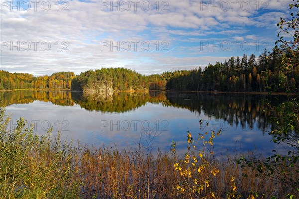 Trees reflected in the calm waters of a lake, foliage colouring, Bullaren, Bohuslaen. Sweden