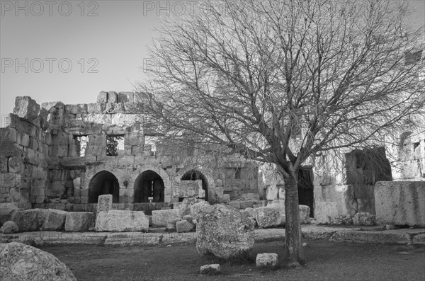 Ruins of Baalbek. Ancient city of Phenicia located in the Beca valley in Lebanon. Acropolis with Roman remains