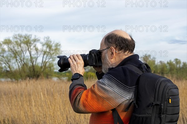 Elderly man photographed, Elbtalaue near Bleckede, Lower Saxony, Germany, Europe