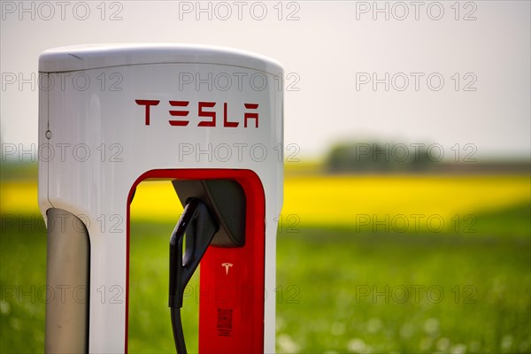 Tesla Supercharger in front of rapeseed field, logo, charging station for electric cars, charging station, e-charging station, e-mobility, Ulm, Baden-Wuerttemberg, Germany, Europe