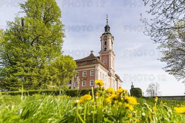 Birnau pilgrimage church, baroque church on the north shore of Lake Constance, Uhldingen-Muehlhofen, Baden-Wuerttemberg, Germany, Europe