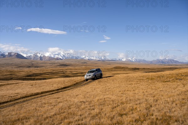 Off-road vehicle Toyota Land Cruiser driving on a track through yellow grass, behind glaciated mountain peaks of the Tien Shan Mountains, Sary Jaz Valley, Kyrgyzstan, Asia