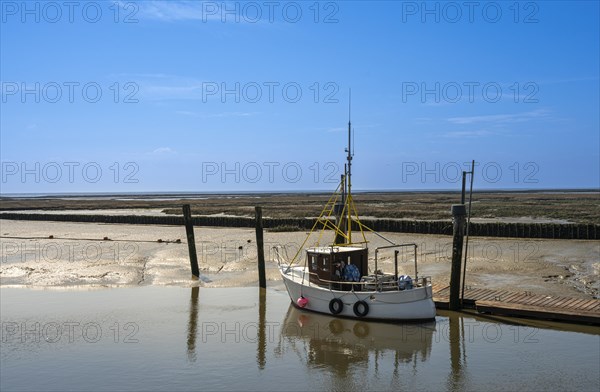 North Sea, Wadden Sea at low tide, Sankt-Peter Ording, Schleswig-Holstein, Germany, Europe