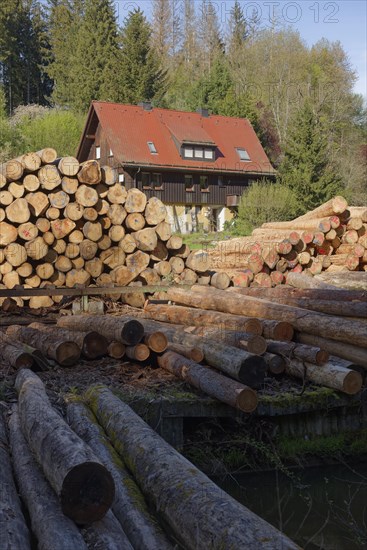 Sawmill in Rottal, Mainhardt Forest, Swabian-Franconian Forest Nature Park, Schwaebisch Hall, Hohenlohe, Heilbronn-Franconia, Baden-Wuerttemberg, Germany, Europe