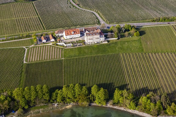 Kirchberg Castle with vineyards in spring, aerial view, Immenstaad on Lake Constance, Baden-Wuerttemberg, Germany, Europe