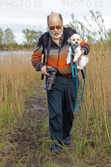 Elderly man carrying Bolonka Zwetna dog over mud, Elbe, Elbtalaue near Bleckede, Lower Saxony, Germany, Europe