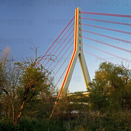 Nature reserve at the Uedesheim Rhine bend with Fleher Bridge over the Rhine, Neuss, Lower Rhine, North Rhine-Westphalia, Germany, Europe