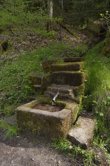 Wells in Rottal, Mainhardter Wald, Swabian-Franconian Forest Nature Park, Schwaebisch Hall, Hohenlohe, Heilbronn-Franconia, Baden-Wuerttemberg, Germany, Europe