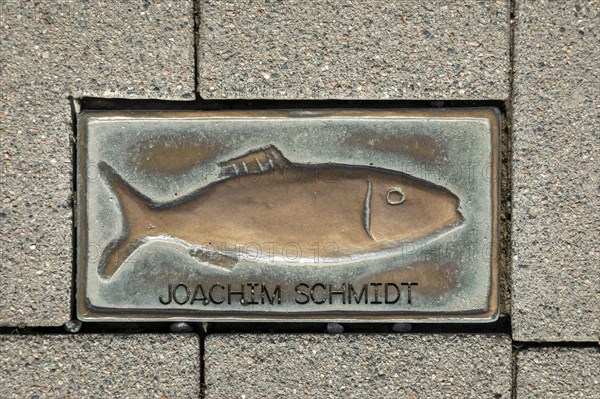 Bronze Clupeidae, pavement, Joachim Schmidt, harbour, Kappeln, Schlei, Schleswig-Holstein, Germany, Europe