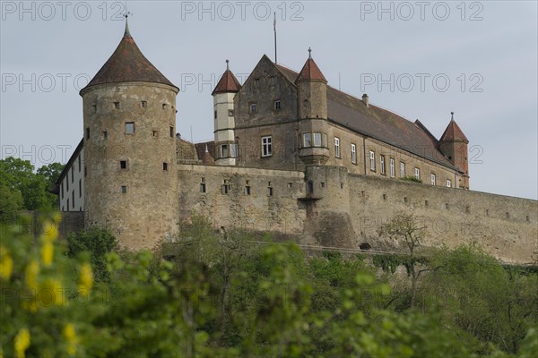 View of Stettenfels Castle in Untergruppenbach, Tower, Towers, Heilbronner Land, Heilbronn-Franken, Baden-Wuerttemberg, Germany, Europe