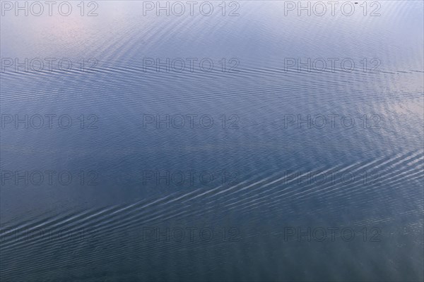 Early morning at Lake Constance without ships and boats, wave structure, aerial view, Friedrichshafen, Baden-Wuerttemberg, Germany, Europe